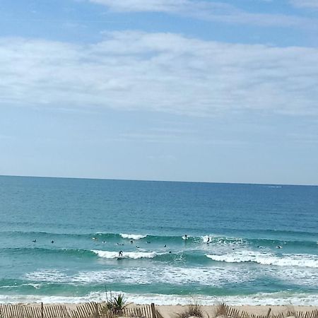 L'Ocean&Dunes Vue A 180° En Bord De Plage 拉卡诺 外观 照片