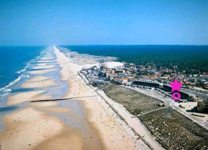 L'Ocean&Dunes Vue A 180° En Bord De Plage 拉卡诺 外观 照片