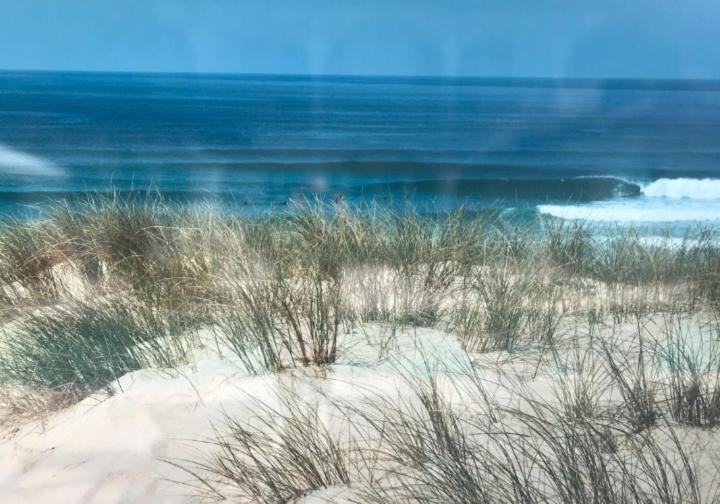 L'Ocean&Dunes Vue A 180° En Bord De Plage 拉卡诺 外观 照片